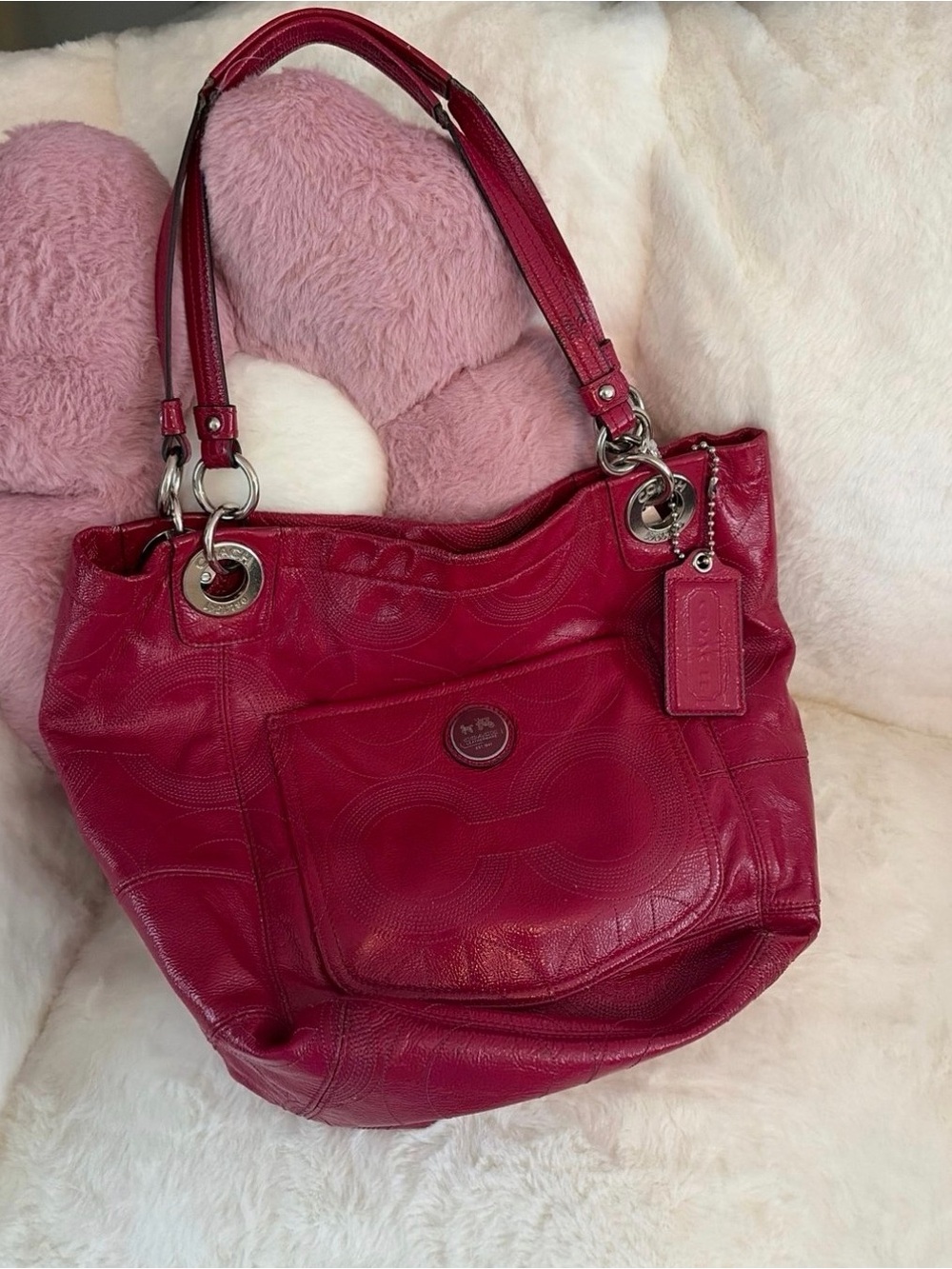 Coach Ashley Satchel Handbag